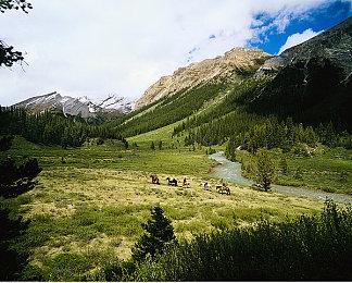 《忍者封魔传》8月17日登陆PS4和Switch